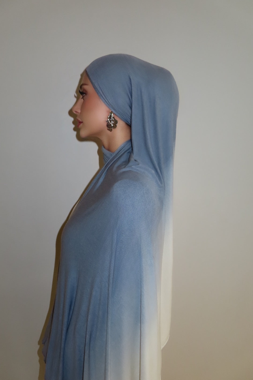 Cloud Ombré - Printed Jersey