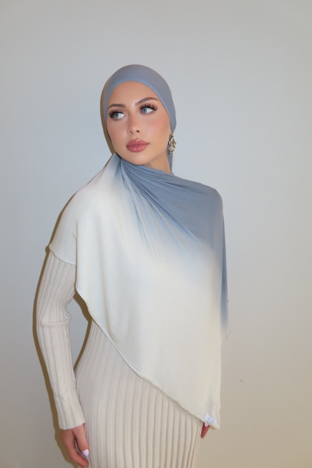 Cloud Ombré - Printed Jersey