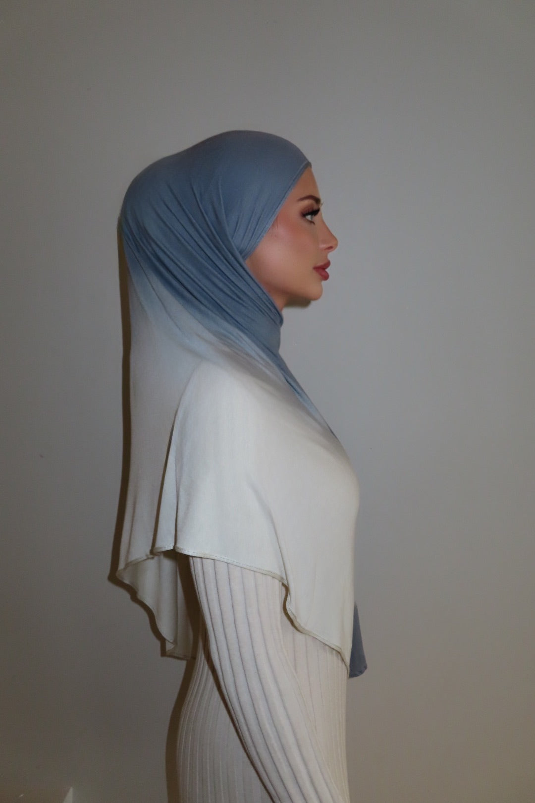 Cloud Ombré - Printed Jersey